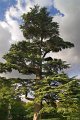 0052Arboretum Vallee aux loups